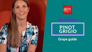 Wine Basics Pinot Grigio amp Pinot Gris Grape Variety Masterclass [upl. by Erlond438]