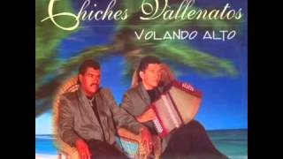 Me Tocó Perderte  Los Chiches Vallenatos [upl. by Milstone]