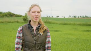 Niederwildprojekt quotWilde Feldflurquot in SachsenAnhalt [upl. by Tonia]