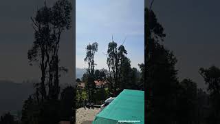 Road Trip Episode  27 Kodaikanal in day light roadtrips shorts travel kodaikanal tamilnadu [upl. by Haida64]