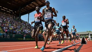 Best of 5000m  IAAF Diamond League 2014 [upl. by Annahoj]