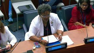 Remarks by the Prime Minister of Barbados and Chair of the Global Leaders Group on AMR during HLM [upl. by Dolli]