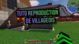 Tuto Reproduction De Villageois [upl. by Smalley]