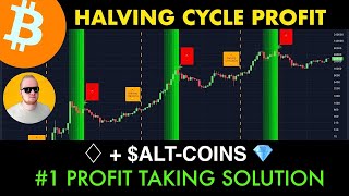 BITCOIN HALVING CYCLE PROFIT  AltCoins Explained [upl. by Dorsey]