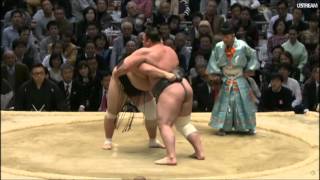 2016 Haru  1nap  Tochinoshin  Terunofuji [upl. by Aniala]