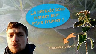 Quand planter les arbres fruitiers  Les 3 critères à respecter [upl. by Brandais839]