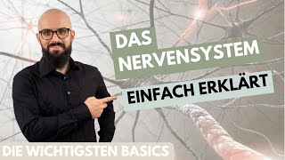 Das Nervensystem einfach erklärt [upl. by Cresida741]