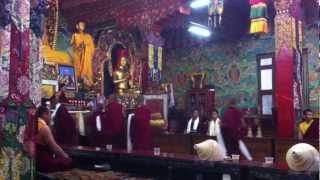 Buddhist Monks Chanting at Tharlam Monastery in Boudhanath Kathmandu Nepal [upl. by Koehler]