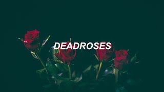 Blackbear  Deadroses Español [upl. by Vander]