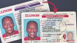 Driver’s licenses now available to undocumented immigrants [upl. by Bastian741]