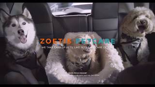 Zoetis PetCare Rewards [upl. by Htirehc]