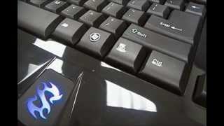 Sharkoon Skiller Gaming Keyboard Hardware Overview amp Software Demonstration [upl. by Analihp]