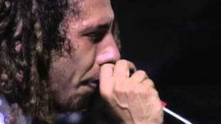 Rage Against The Machine  Killing In The Name Live At Finsbury Park [upl. by Ennovihc]