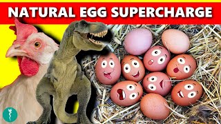 Supercharge Your Health with Natural Eggs Essential Tips [upl. by Bond]