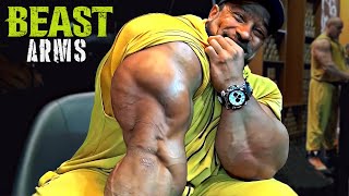 BEAST ARMS  LETS BUILD TRICEPS AND BICEPS  ROELLY WINKLAAR MOTIVATION [upl. by Engamrahc439]