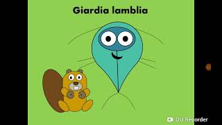 Giardia lamblia Intestinal flagellate داء الجيارديات [upl. by Aneda496]