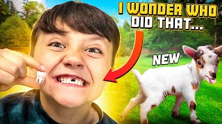 Got New Goats amp then Shawns TOOTH got PULLED out 🦷🦶 FV Family Farm Vlog [upl. by Perrin]