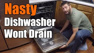 Easy Fix For Dishwasher That Wont Drain  THE HANDYMAN [upl. by Mcculloch]