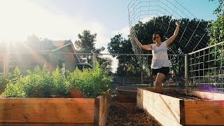 Using this CATTLE PANEL to Grow Watermelon [upl. by Chelsea139]