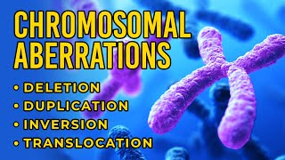 Chromosomal Aberrations  Deletion  Duplication  Inversion  Translocation [upl. by Ahsilef]