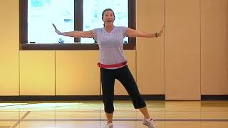 GREAT 20 minute exercise workout for Beginners and Seniors [upl. by Burman]