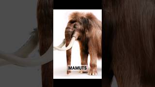 animales y sus parientes Prehistóricos animales animals wildlife shorts short [upl. by Haronid]