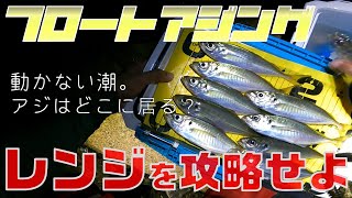 【アジング・フロートアジング】アジの居場所を探せ！ボトム攻略＜大阪湾釣り＞ [upl. by Havener]