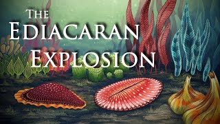 The Ediacaran Explosion ft CambrianScience [upl. by Eelarual]