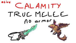 calamity true melee no armor expert death part 4 the hard part [upl. by Aihtnys428]