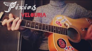 Velouria Pixies Cover [upl. by Peacock]