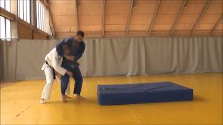 Dzudo  samoodbrana diplomski rad  Judo  selfdefense diploma thesis [upl. by Colvin]