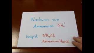 Qualitative Analyse Nachweis von Ammonium NH4 [upl. by Ahsieken753]