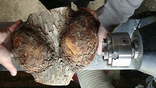 Woodturning IronWood Burl [upl. by Alul]