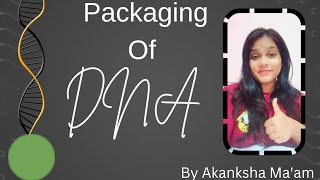 PACKAGING OF DNA  HISTONE PROTEIN  CLASS 12th [upl. by Odel]