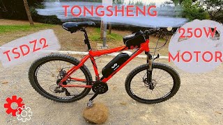 Home made Ebike Tongsheng TSDZ2 250W motor 36v 192Ah battery [upl. by Humbert]