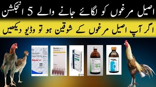 Aseel murga ki bemari ka ilaj  aseel murgon ki bemari k injection  asil murga injection kesy lagyn [upl. by Akili]