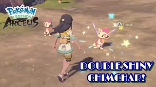 ✨Pokémon Legends Arceus DOUBLE SHINY CHIMCHAR During Same Massive Mass Outbreak Hunt✨ [upl. by Darius987]