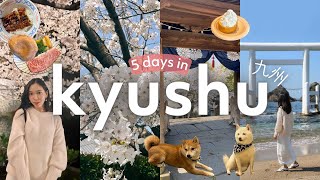 KYUSHU JAPAN Fukuoka Oita amp Kumamoto 🇯🇵 5Day Travel Vlog  🌸 Cherry Blossoms  Places to Visit [upl. by Enirroc]