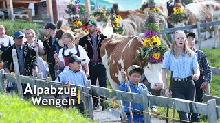 Wengen Alpabzug  Alpine cow parades in Wengen Switzerland [upl. by Broome]