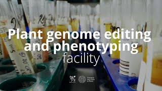 Plant genome editing and phenotyping facility [upl. by Allyce]