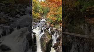 Do you want Autumn vibes Watch this video Plssubscribe thanks [upl. by Primrose]