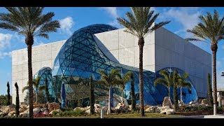 The Dali Museum An Unparalleled Experience [upl. by Delaryd]