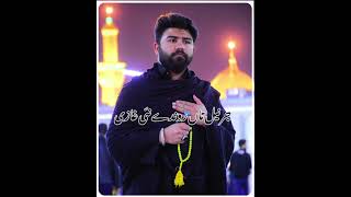 Noha Qurban jafri Status Zawar Saqlain Abbas karbalai Status [upl. by Ennaegroeg]