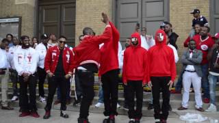 Kappa Alpha Psi Spring 17 Probate Gamma Upsilon chapter SIUC [upl. by Ruggiero]