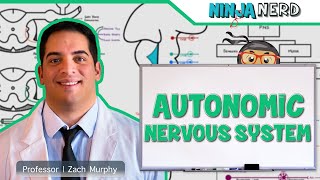 Neurology  Autonomic Nervous System [upl. by Nairrad]