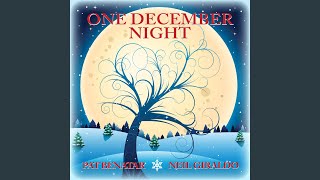 One December Night [upl. by Shannan]