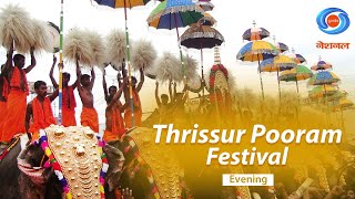 The Thrissur Pooram Festival 2024  Thrissur Kerala  DD National [upl. by Atsev831]