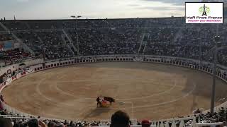 Bullfight in Beziers Part 1 [upl. by Ytsrik]