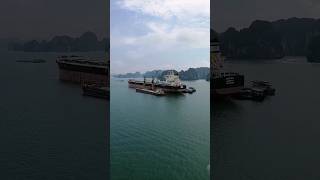 Capesize ship to ship discharging at anchor maritime ship safety [upl. by Norted]