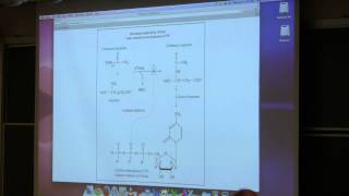 Aherns BB 350 at OSU  10 Enzymes Control I [upl. by Noreen853]